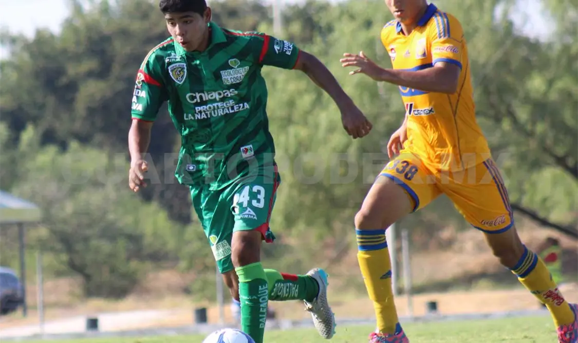 Filiales de Chiapas Jaguar consiguieron sacar puntos a los universitarios, con triunfo para sub-17 y empate para sub-20. Cortesía