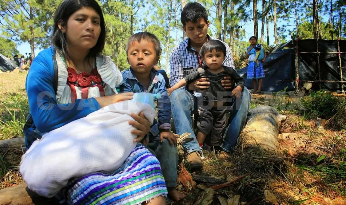 Población indígena en rezago educacional