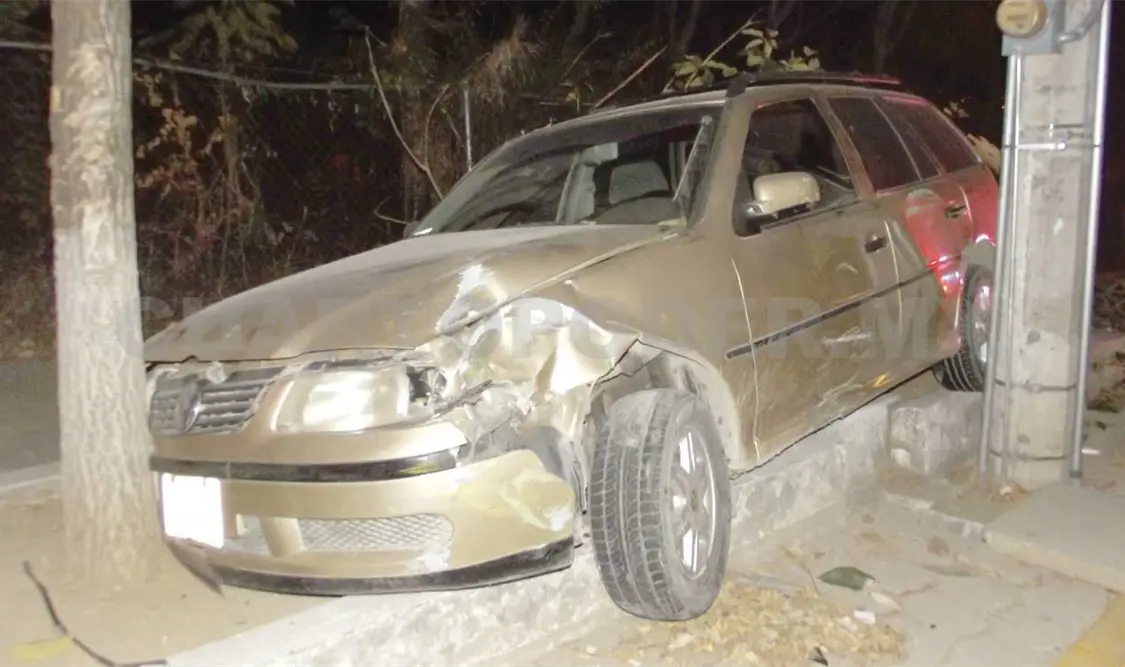 Auto derriba árbol y poste de luz