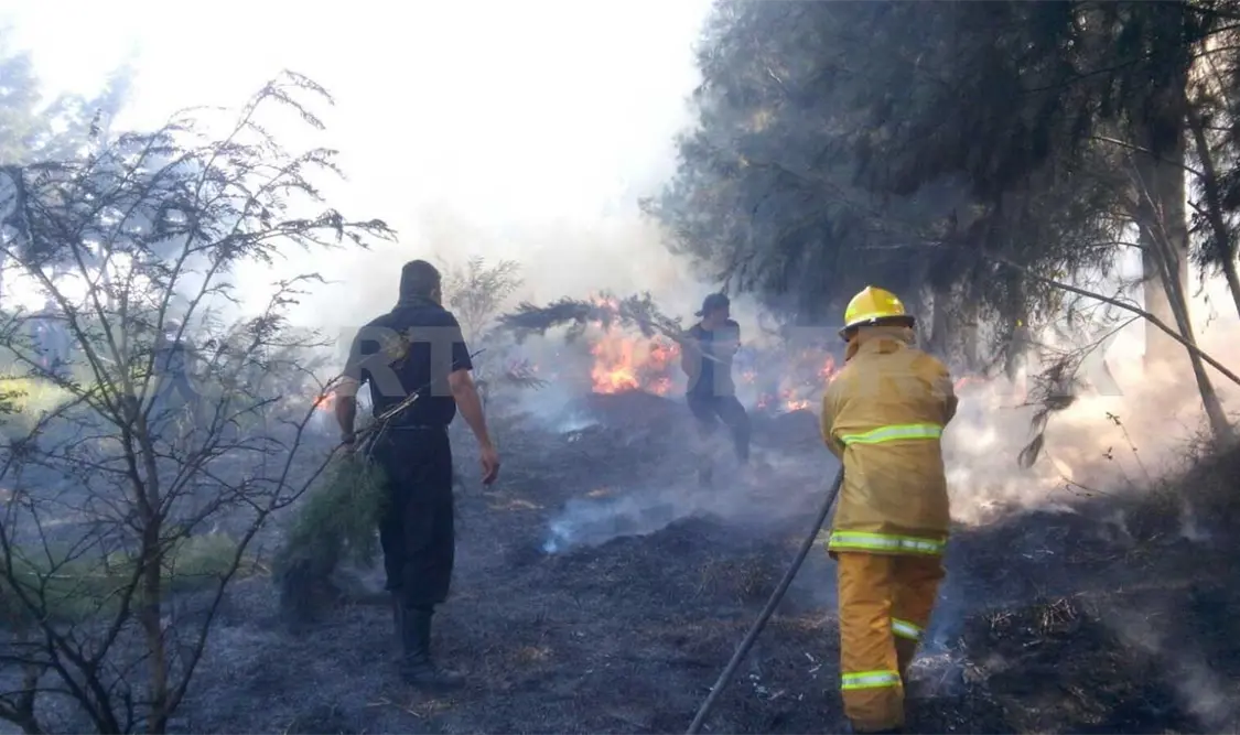 Se incendian 40 hectáreas en tramo carretero