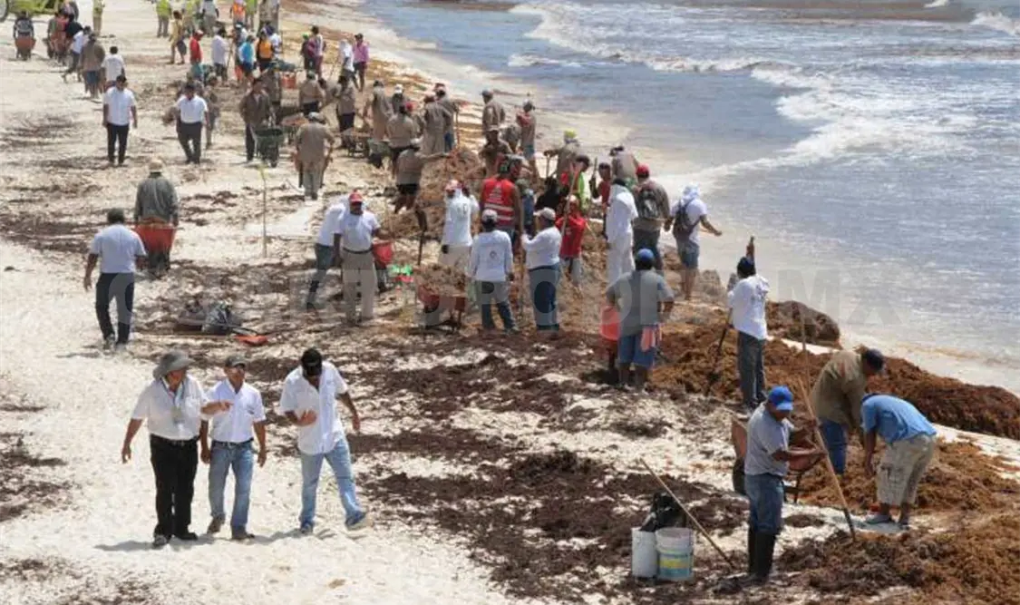 Estudiantes se suman al rescate de las playas