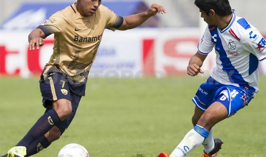 Pumas preparado para estirar buena racha