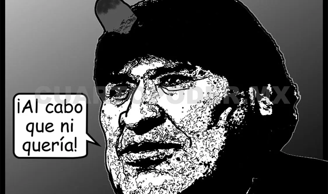 Reelección