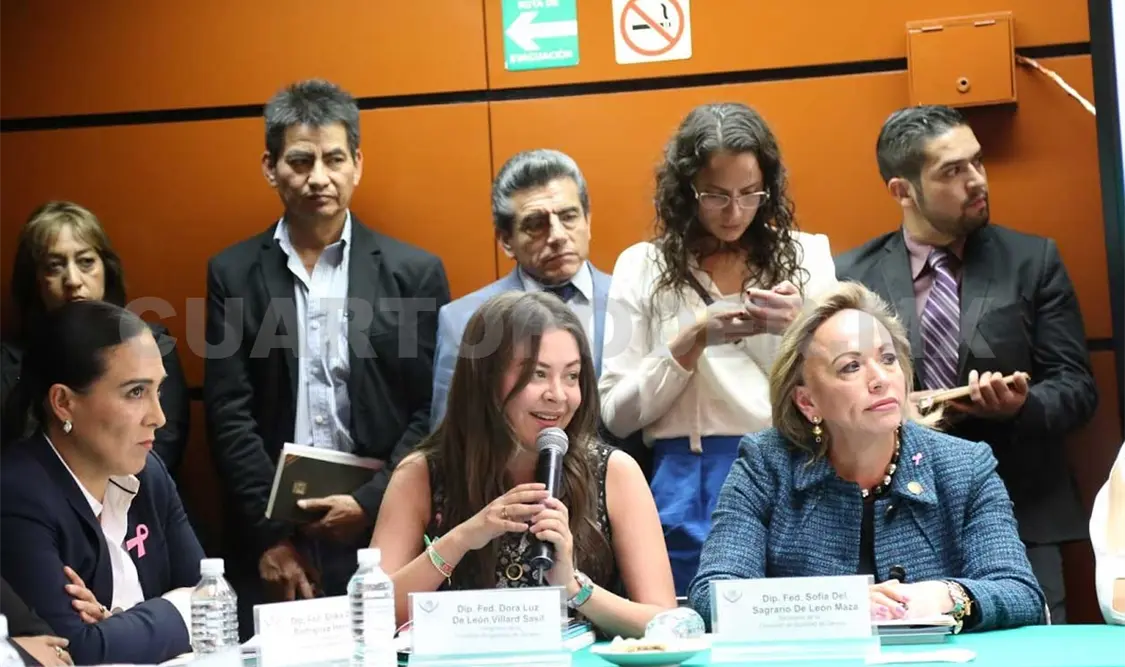 Sasil de León prioriza a Chiapas en Legislatura