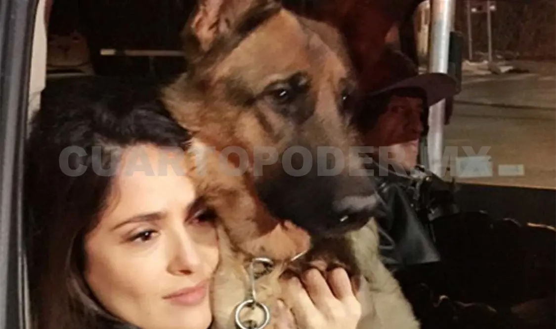 Salma Hayek llora la muerte de su perro