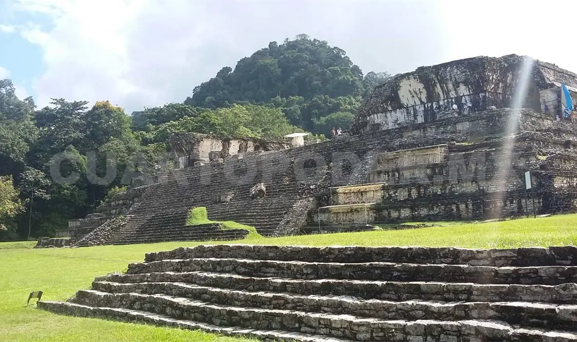 Descubren en mayas, rasgos de modernos paleontólogos