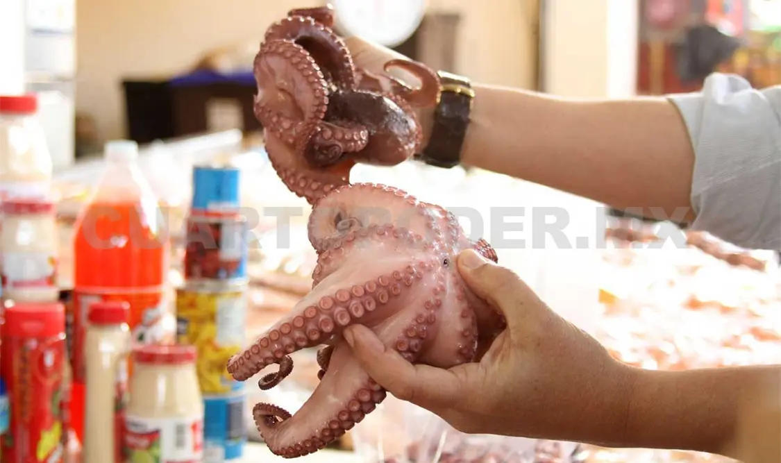 Pescado y marisco, a precios accesibles