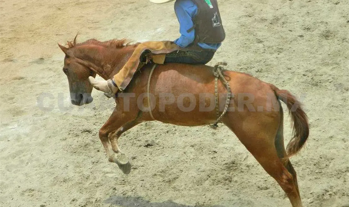 Participarán 40 asociaciones debidamente federadas, 54 equipos varoniles, 26 de escaramuzas y siete charros completos. Cortesía