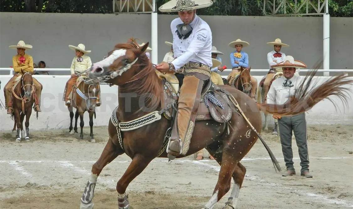 Definen calendario de actividades