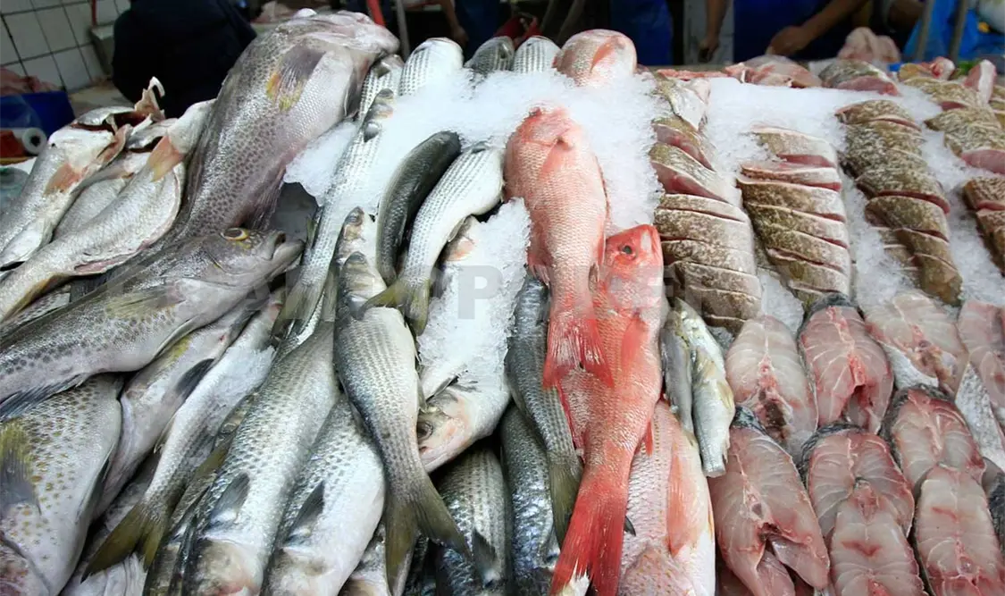 Llaman a consumir alimentos de cuaresma en buen estado