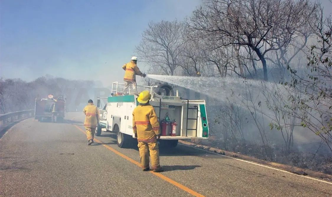 Voraz incendio al costado de camino