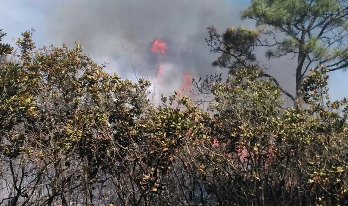 Aspecto del incendio registrado ayer en el municipio de La Trinitaria. Flor Cordero / CP