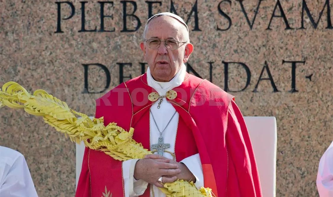 Celebra el papa Domingo de Ramos