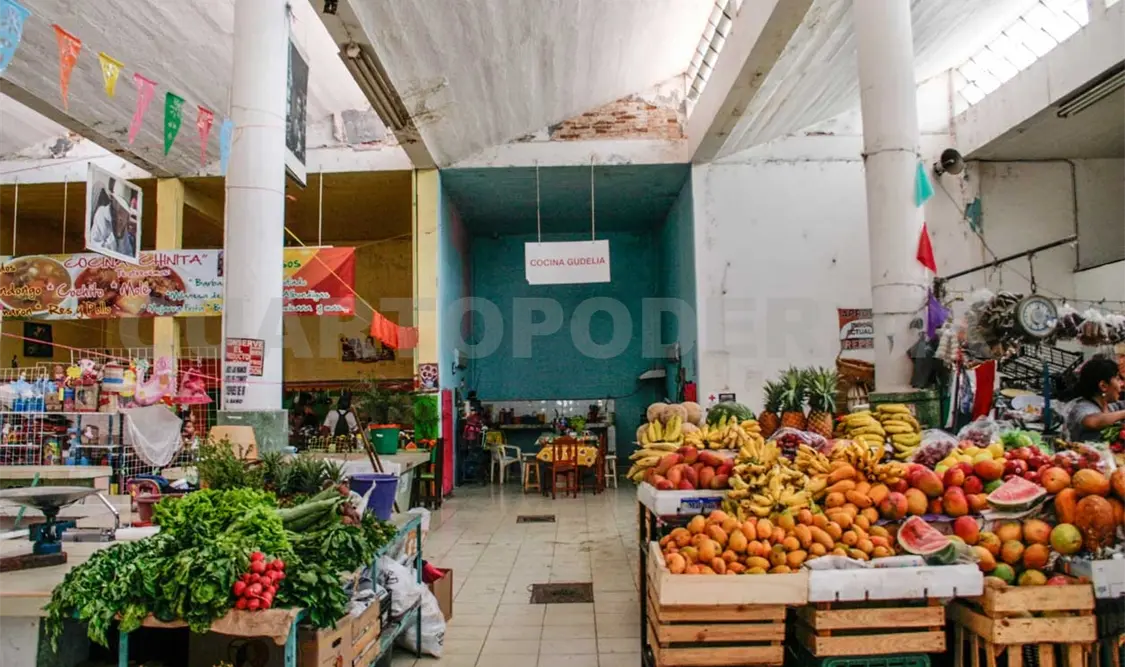 Chiles endémicos, mermados por desinterés