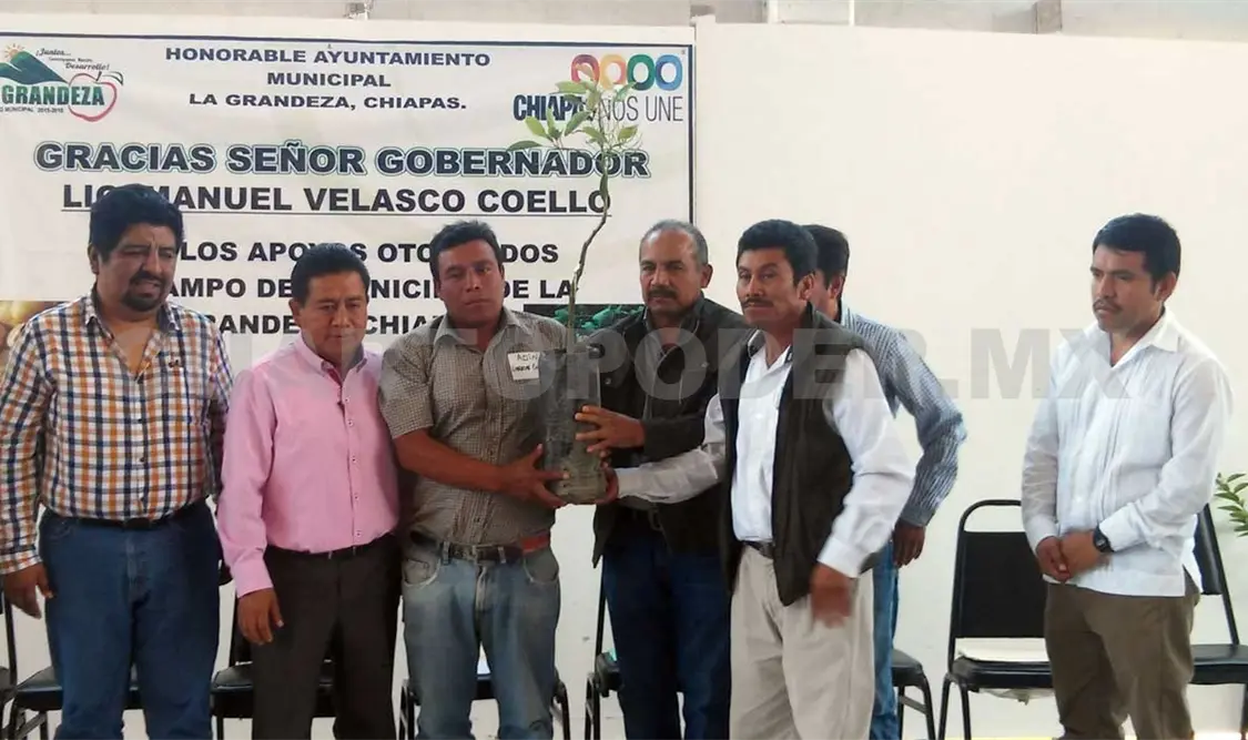 Entregan apoyos a productores de papa