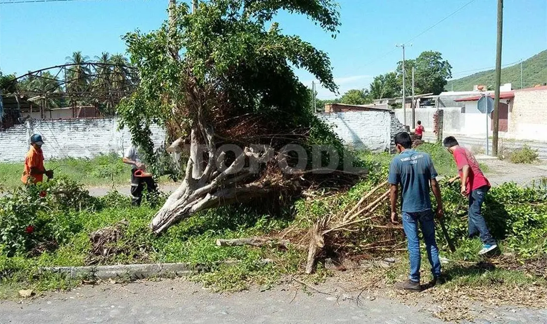 Ráfagas de viento provocan daños
