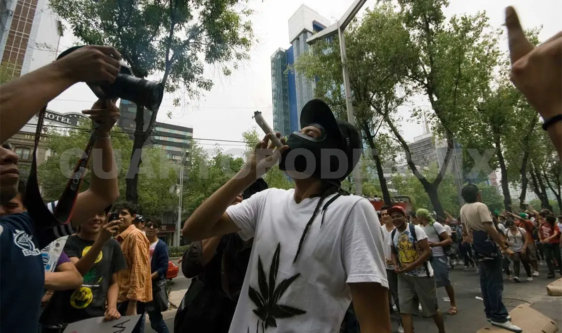 Legalizar marihuana desataría problema