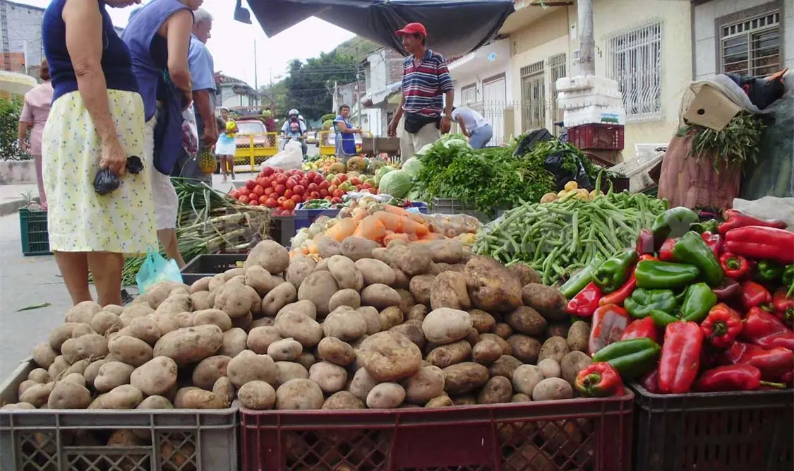 Seguridad alimentaria, prioridad de Gobierno