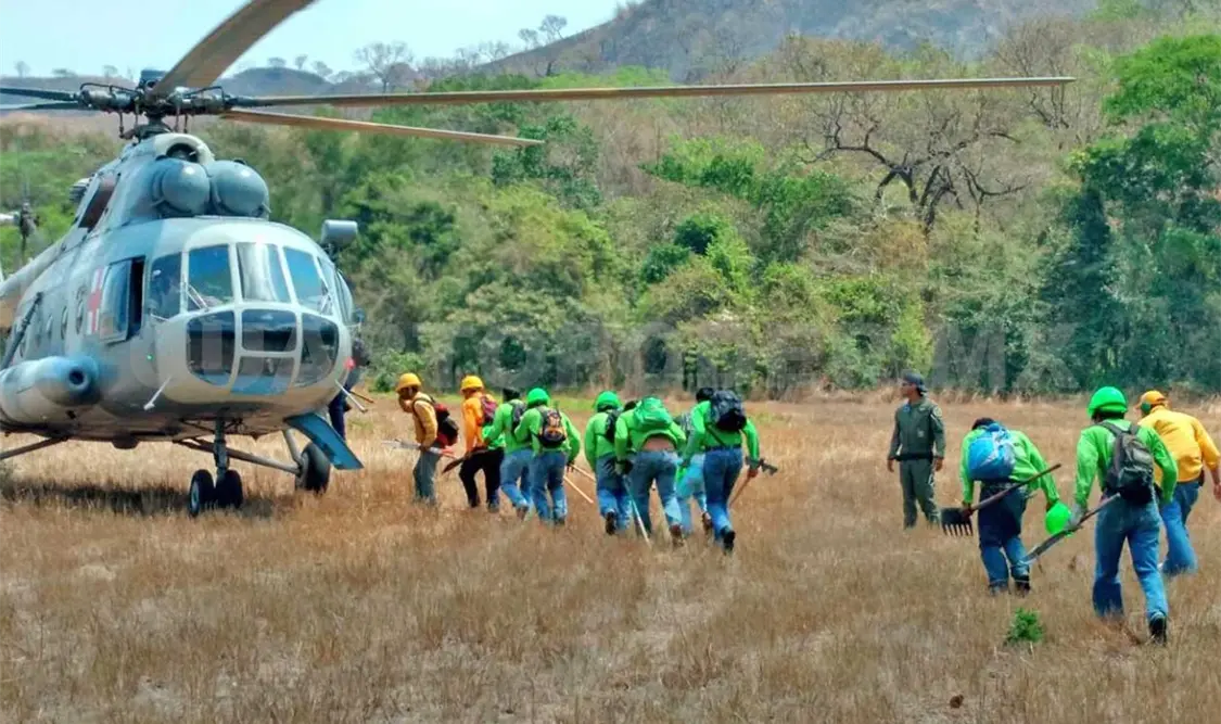 Más del 90 por ciento de los incendios forestales son ocasionados por quemas agrícolas.