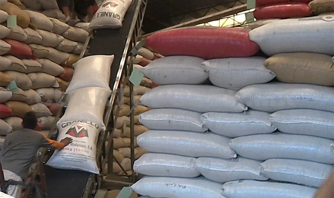Comercializan millón y medio de sacos de café