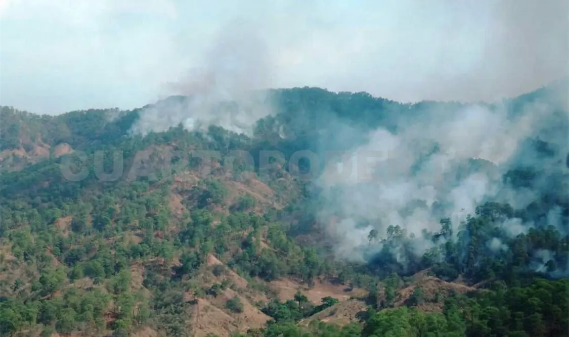 Mil hectáreas forestales quemadas en Chiapas