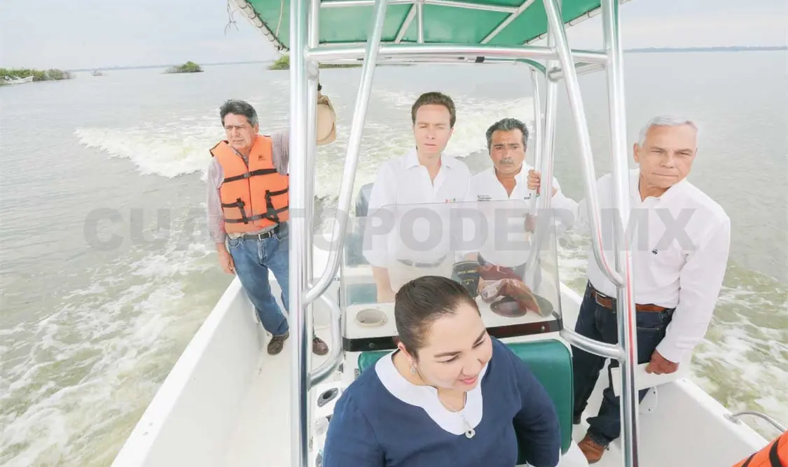 MVC pone en marcha plan para el rescate del manatí