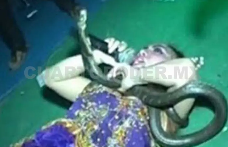 Muere cantante al ser mordida por cobra