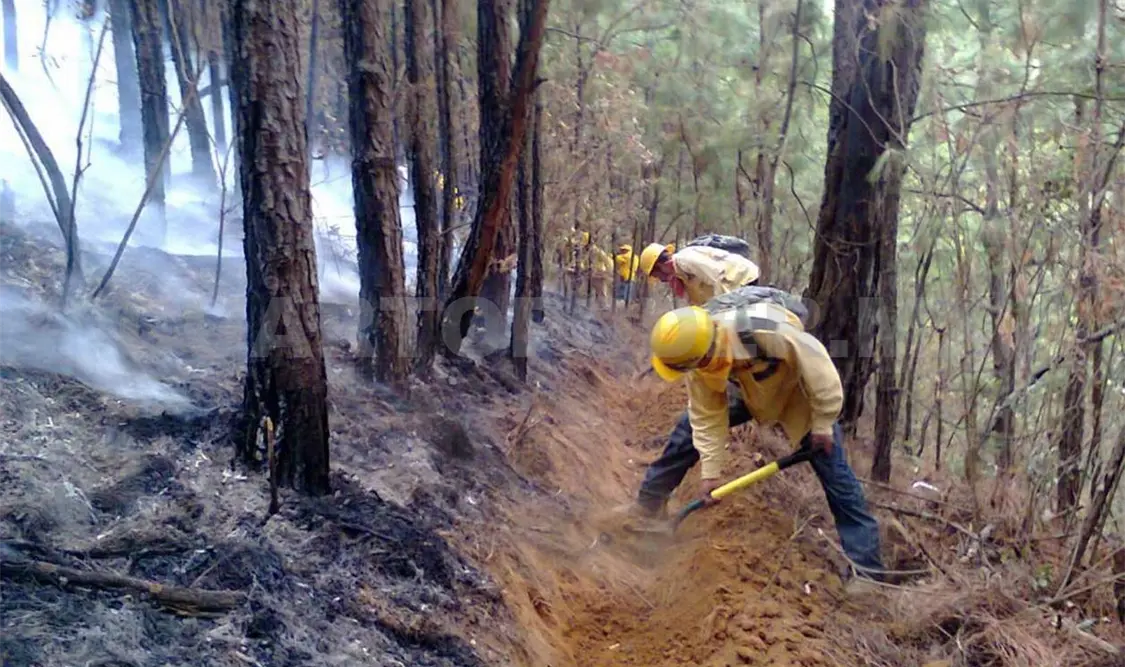 Interponen denuncia por incendio