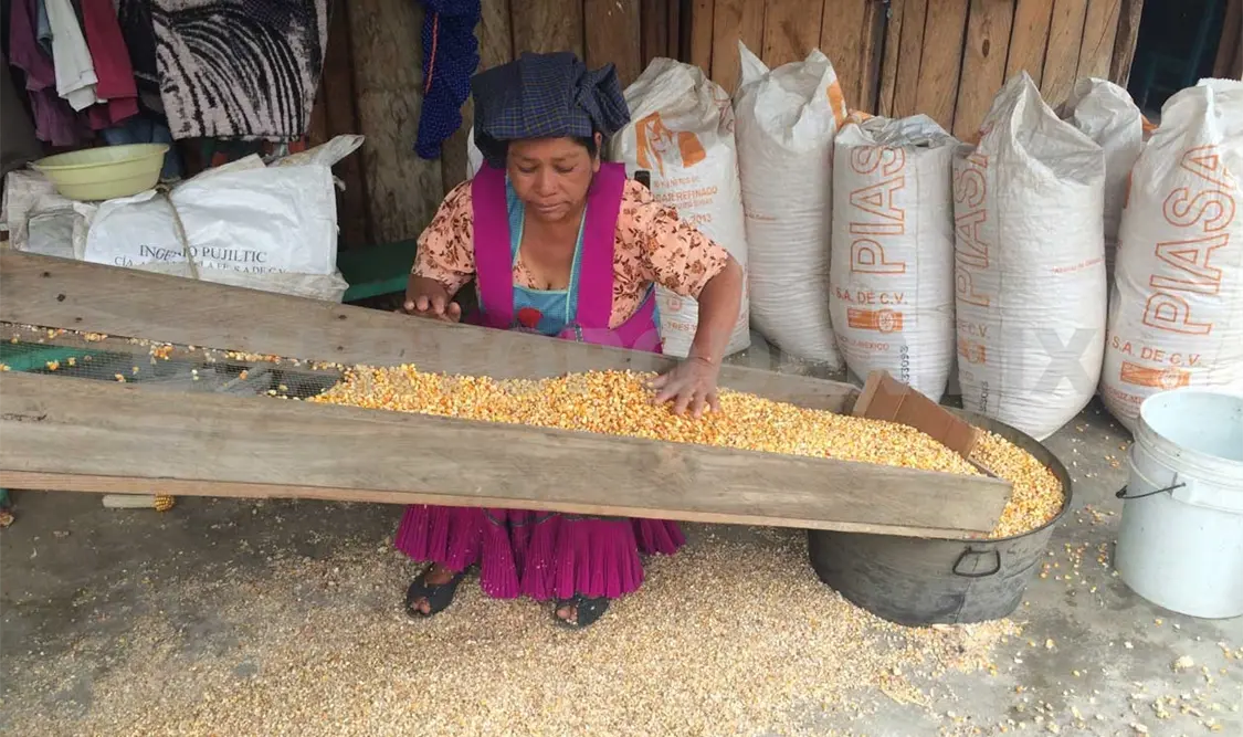 Mujeres, pilares de la agricultura tradicional