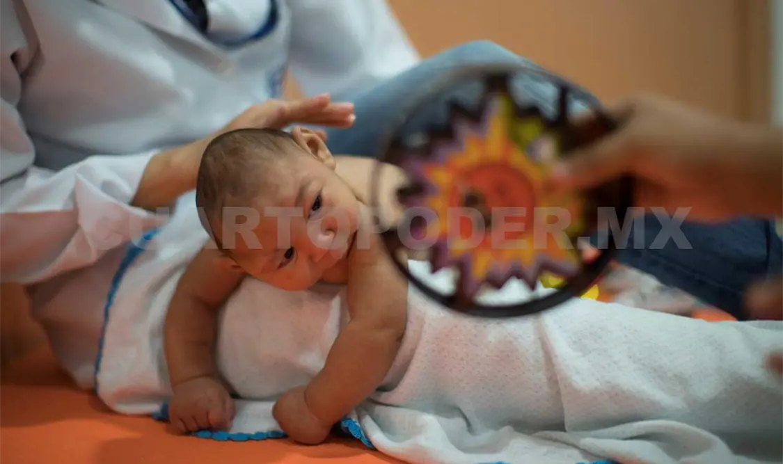 Confirman vínculo entre zika y microcefalia