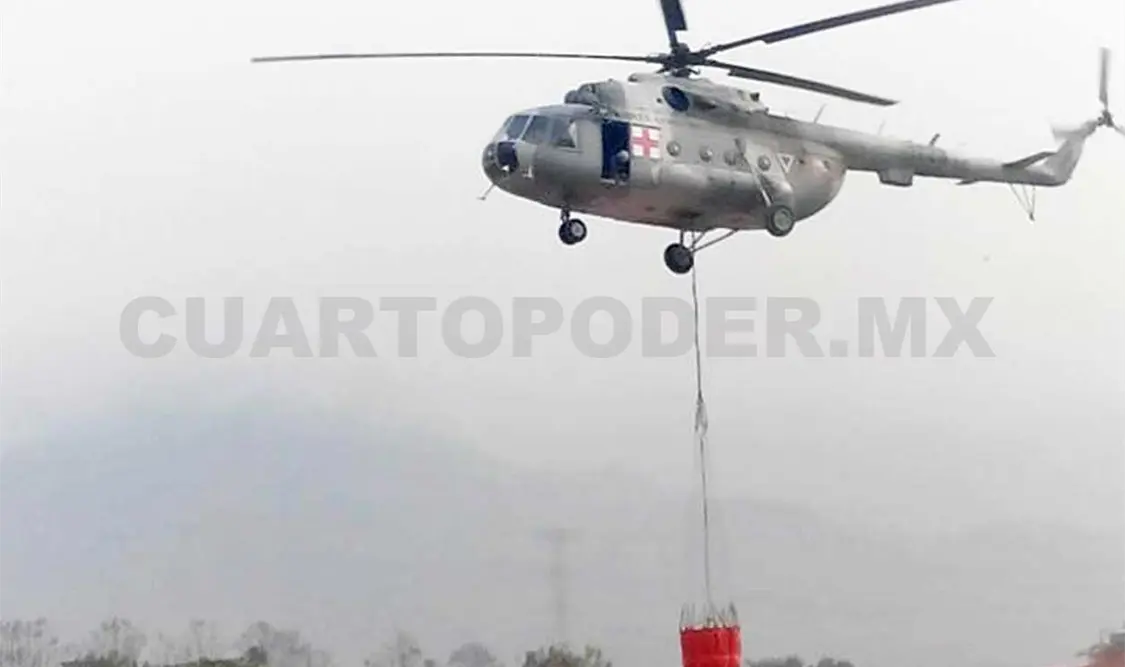 Incendio forestal ha devastado 240 hectáreas