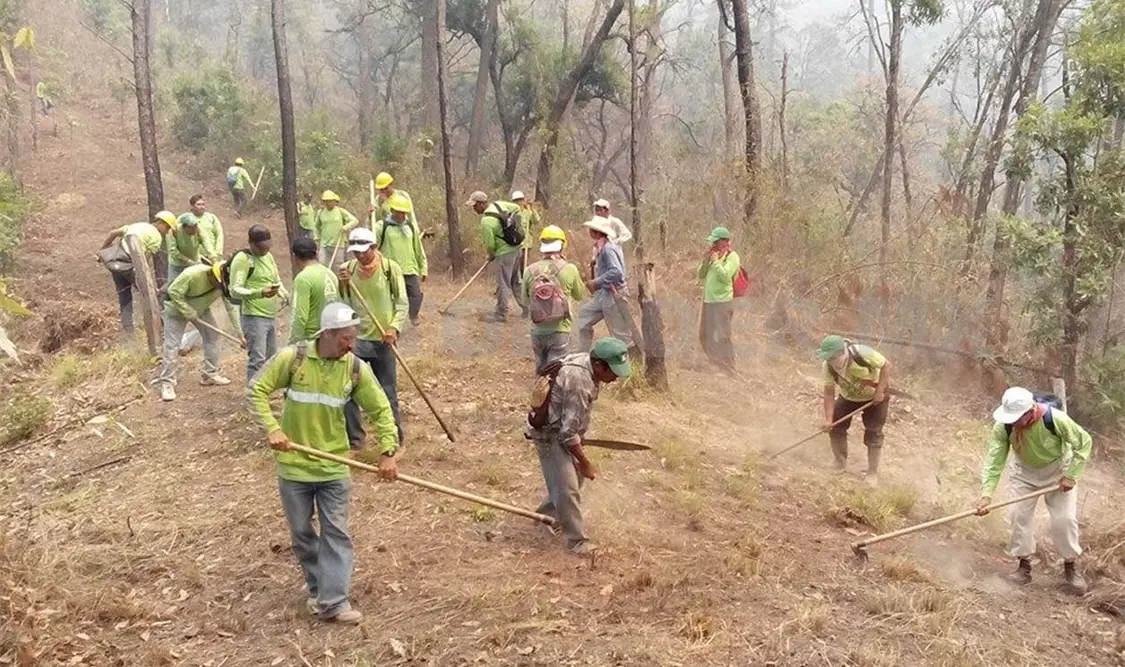 Activos, cinco incendios forestales