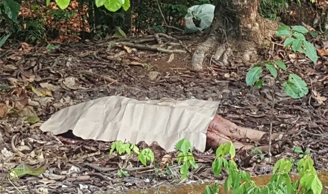 Una mujer fue asesinada en la zona rural de Tapachula.
