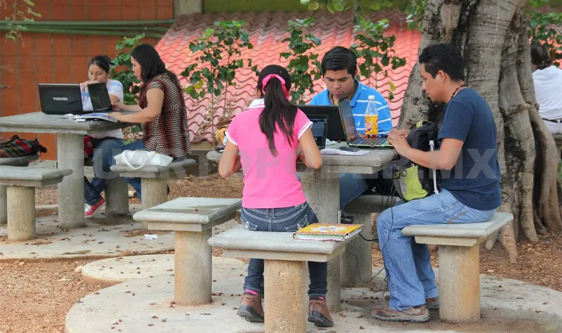 Revelan preocupación de jóvenes sobre su futuro