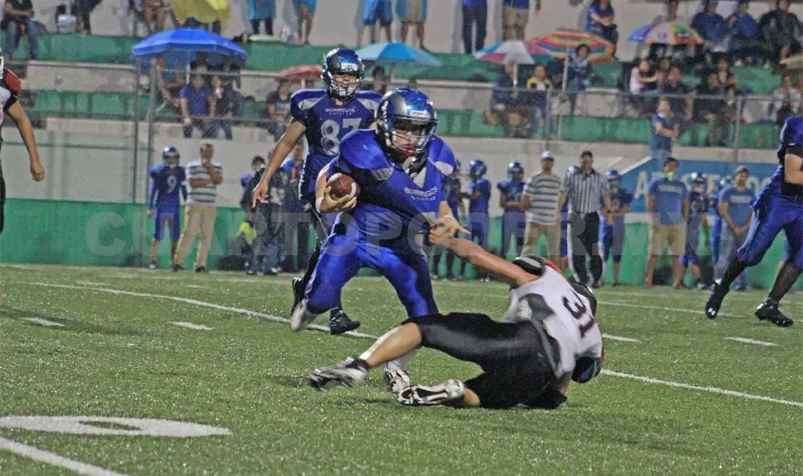 Borregos, con paso de campeón