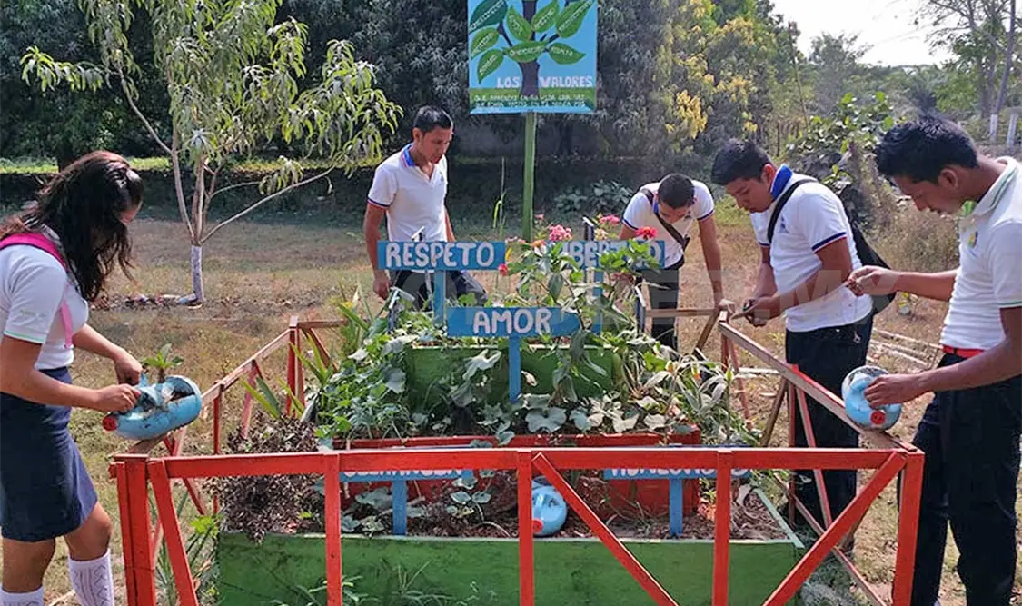 Realizan acciones de forestación y cultura ambiental