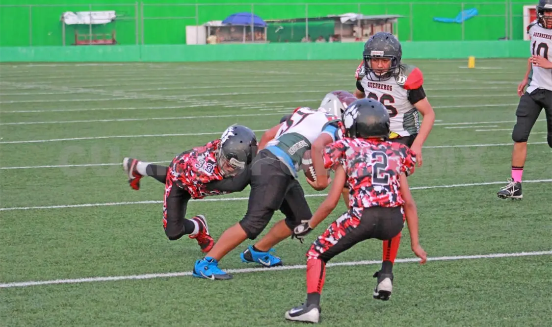 Sólido triunfo de 40-12 para Osos en potrillos