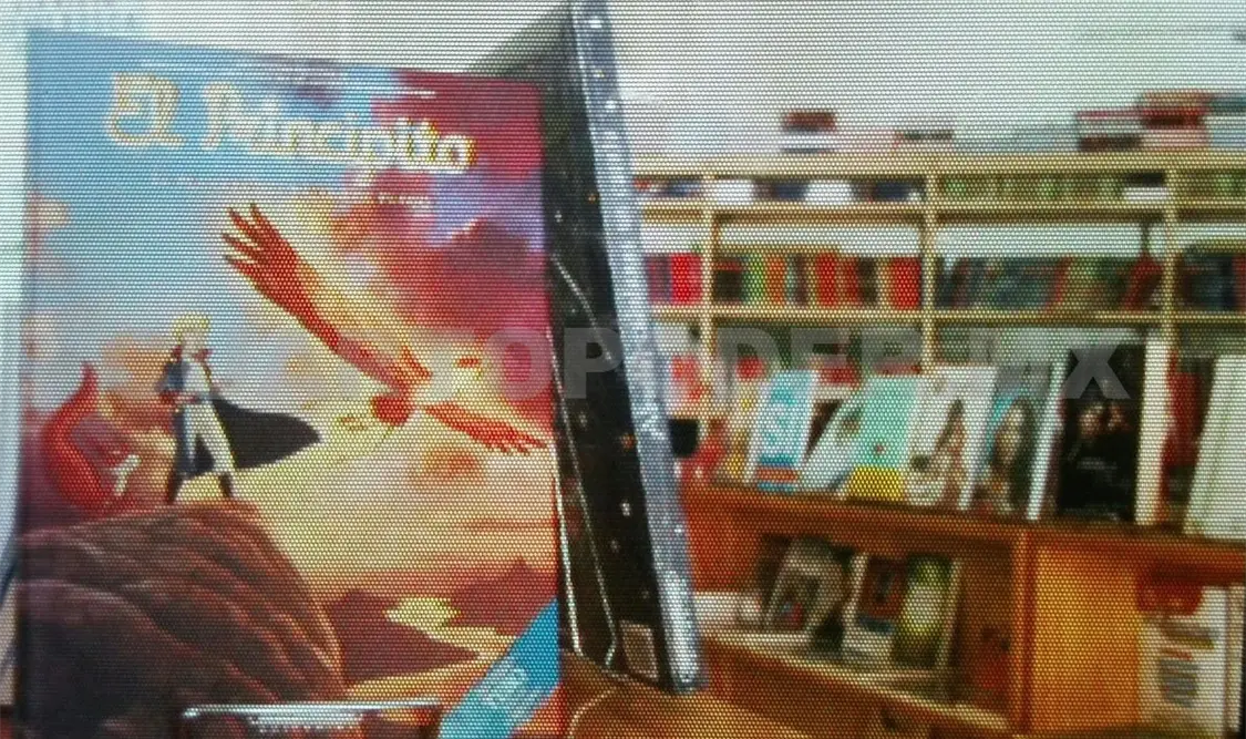 Las creaciones artísticas como literarias y escultórica son las que más plagios sufren. Guillermo Ramos / CP.