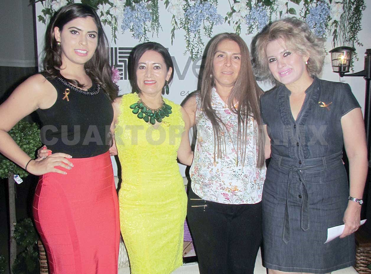 Capitalinas disfrutan desfile de modas