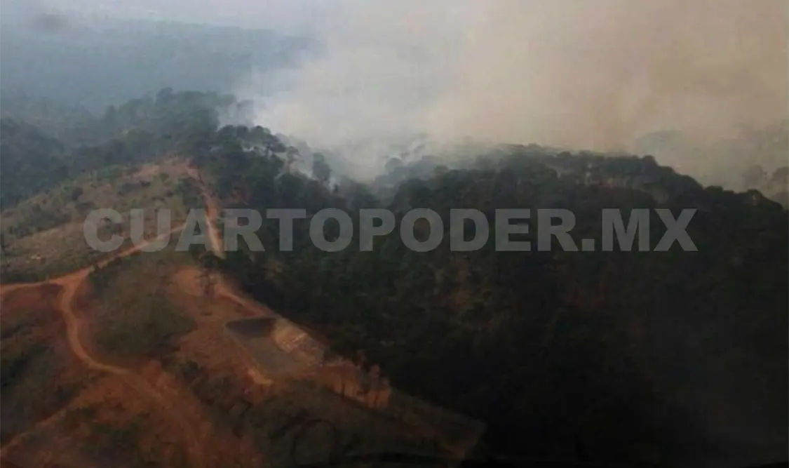 Incendio consume 100 hectáreas de bosques