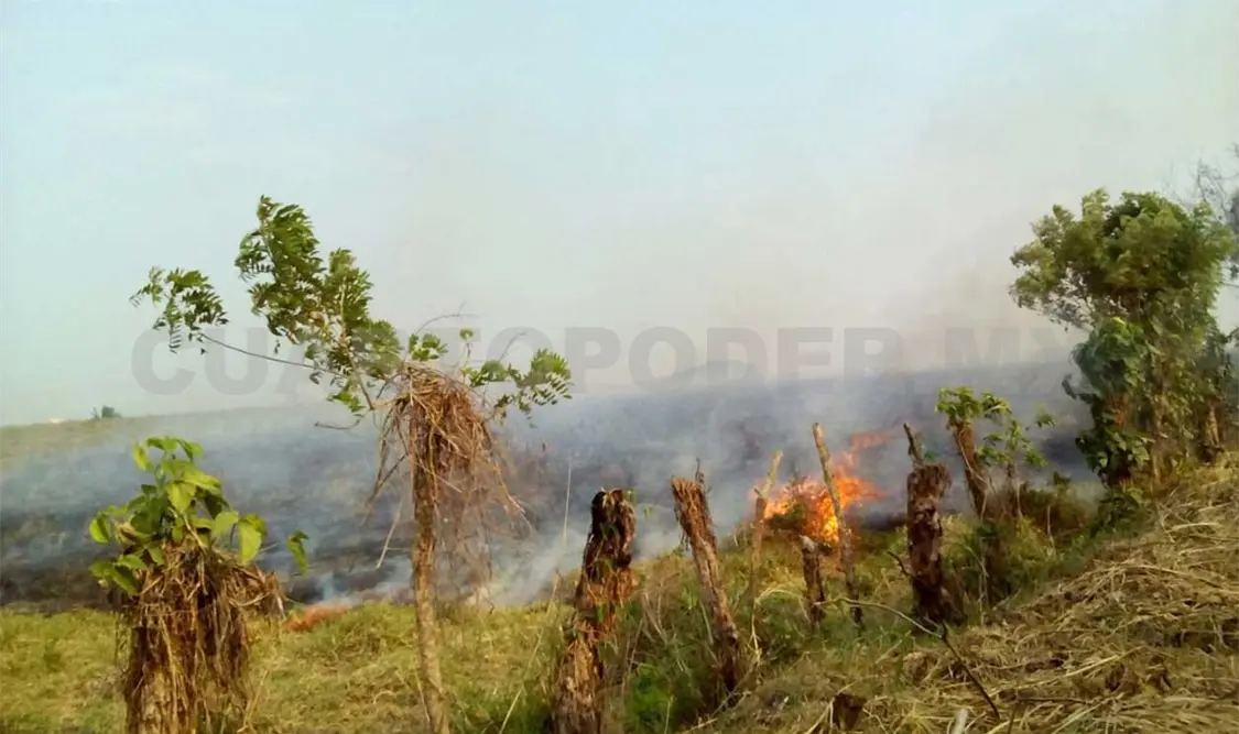 Pena corporal y multa a quien provoque incendios