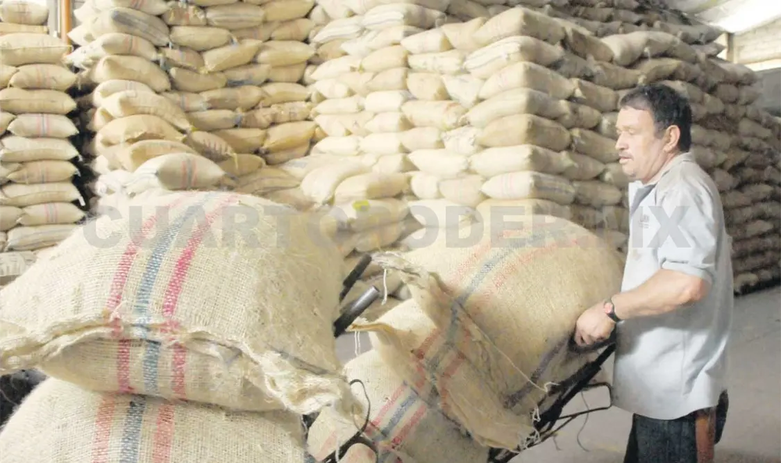 Se logró asegurar la producción anual