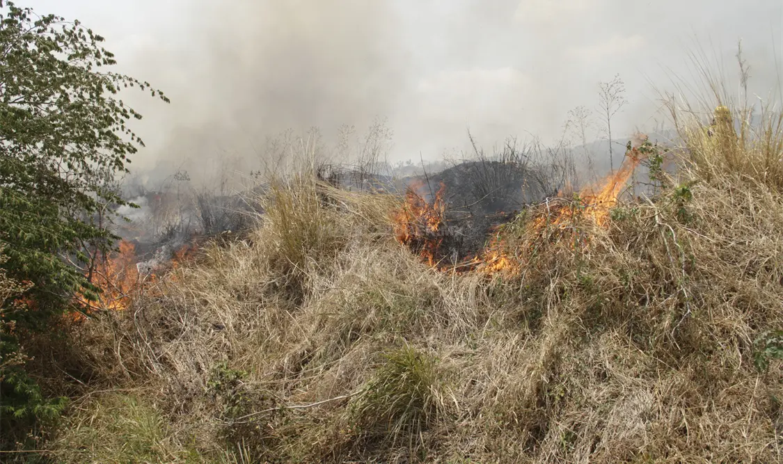 Chiapas ocupó el segundo lugar por número de incendios y el quinto por daños. Guillermo Ramos / CP.