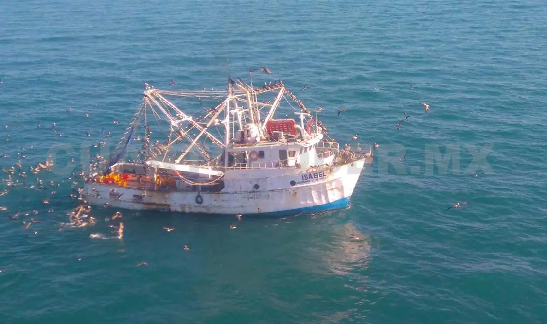 Aseguran buque por pesca ilegal