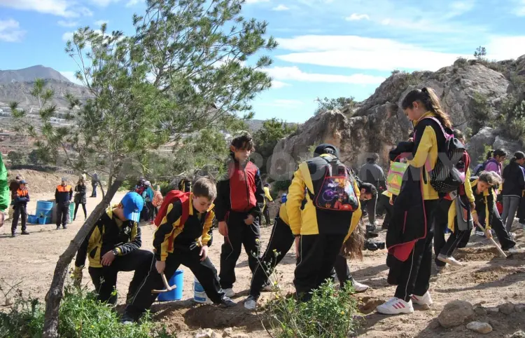 PVEM celebra inclusión de educación ambiental