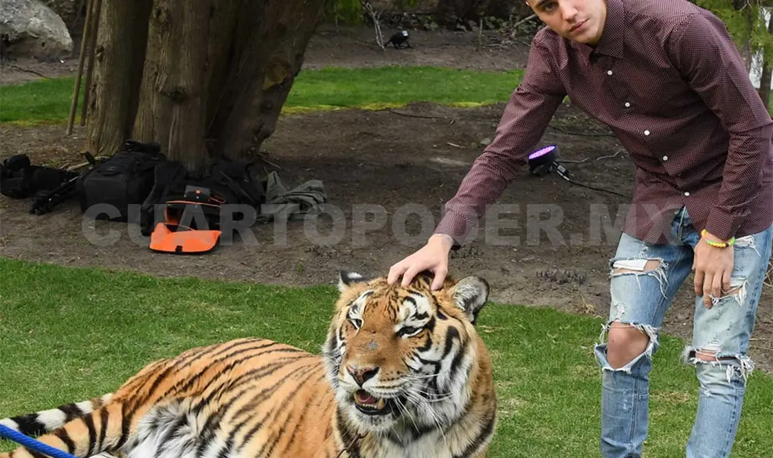 Justin Bebier desata la furia de protectores de animales