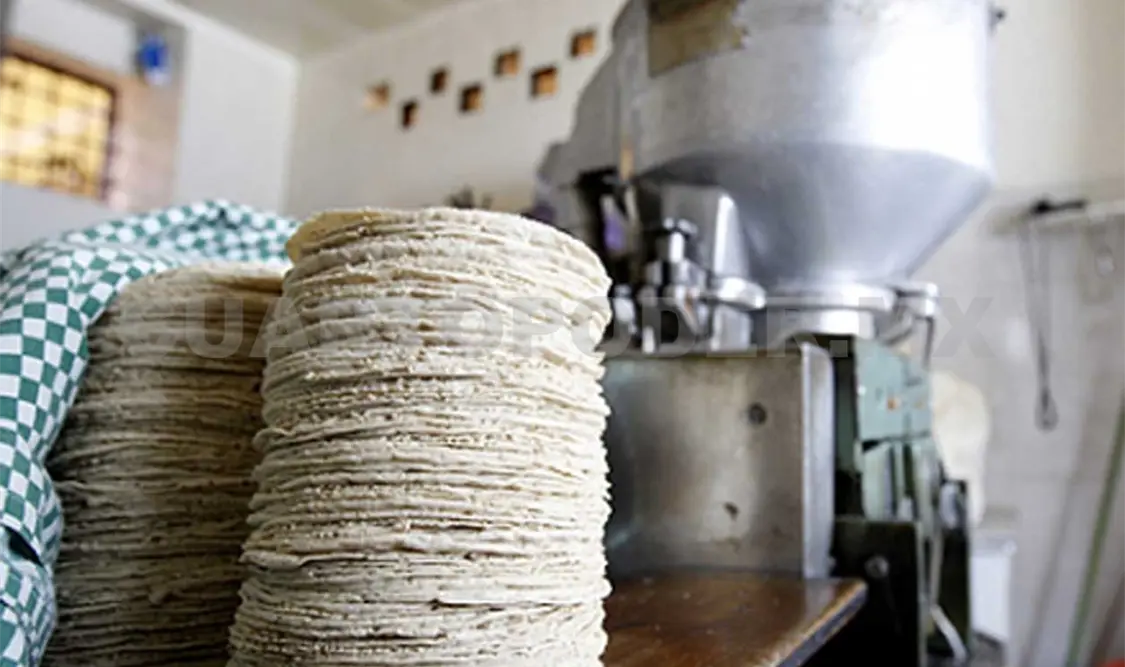 Aumentan negocios ilegales de tortilla
