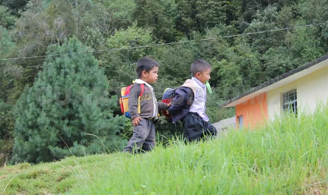 Organismos unidos por los niños de México