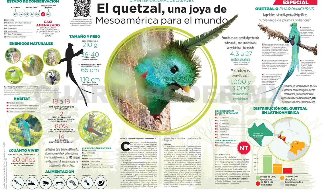 El quetzal, una joya de Mesoamérica para el mundo