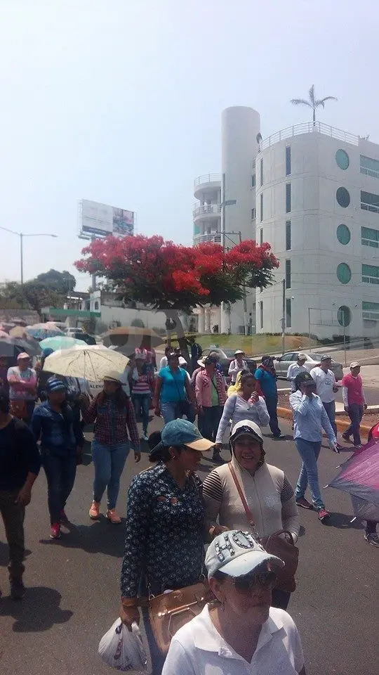 Maestros en plantón. CP